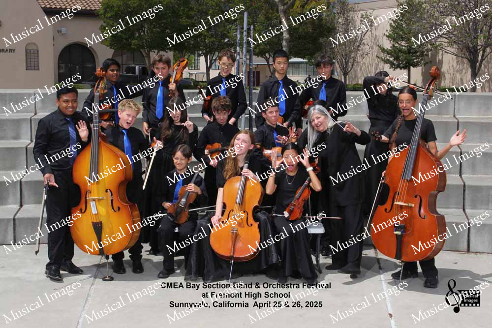 Musical Images